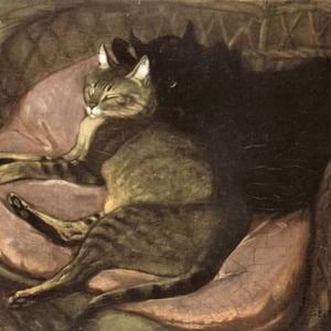 Meet your Posher, Joe